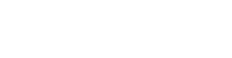White logo on a light grey background featuring a stylised lotus flower symbol to the left and the text The Birkbeck in serif font.